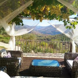 Quinta Vale de Carvalho, Hotel in Pinhal do Douro