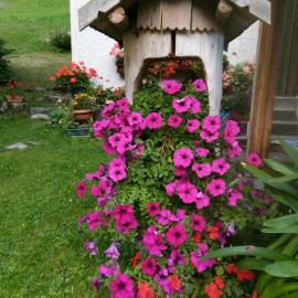 B&B PRA' DEI CERVI, hotel a Telve