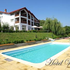 Hotel Wels, hotel in Băltenii de Sus