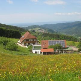 Reeshof, Hotel in Horben