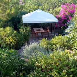 Aegina's Oasis, hotel in Egina