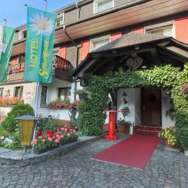 Hotel Silberdistel, hotel u gradu 'Hinterzarten'