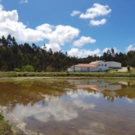 Quinta do Vale Vendeiro, hotell i Figueira da Foz