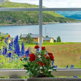 4 person holiday home in Skatvik-By Traum
