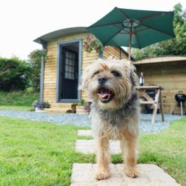 Buttles Shepherd's Hut, hotel in Saundersfoot