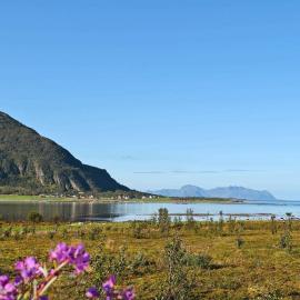 10 person holiday home in Laukvik, Hotel in Laukvik