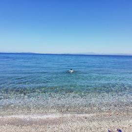 Fotis Apartments