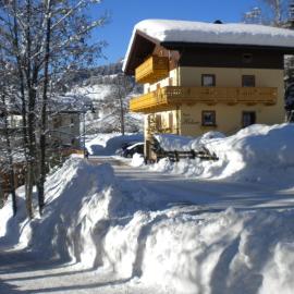 Haus Holzer