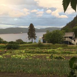 Ferme Jardin Potager, hotel in Sainte-Rose-du-Nord