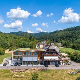 Weinhotel Pfeffer & Salz, hotel v destinácii Gengenbach