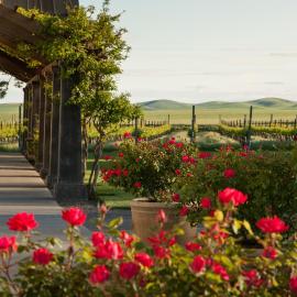 The Inn at Abeja, hotel in Walla Walla