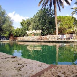 Petit Hotel Es Figueral, hotel en Campos