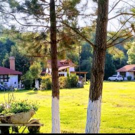 Cabañas los cactus 2, khách sạn ở Huasca de Ocampo