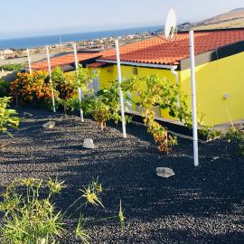 Casinha Vista Mar, hotel in Porto Santo