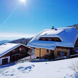 Almhaus Pleschinhof, hotel v destinácii Hochrindl