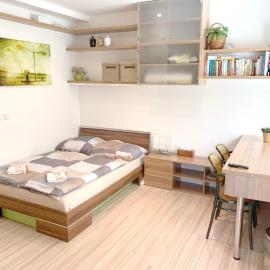 Krásný apartmán u lesa, trolejbus do centra a BVV, parkování zdarma