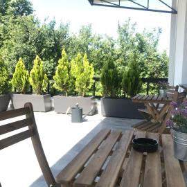 Grocka Apartmani & rooms, Hotel in Grocka