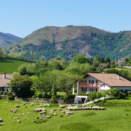 BaskoParadis I Eco-Gites I Calme I Vue I Ânes I Jardin I Montagne I Nature
