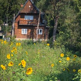 Vacationhome in the vineyards, Hotel in Wien