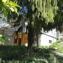 LES ACACIAS