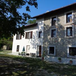 Il cortile dei frutti selvatici