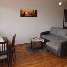 Mieszkanie na uboczu Dobrzeń Wielki, Hotel in Dobrzeń Wielki