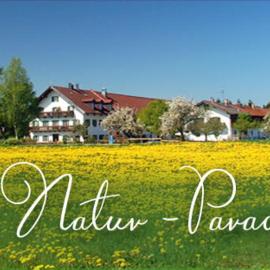Bernwieserhof、バート・ハイルブロンのホテル