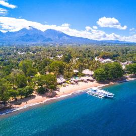 Pura Vida Beach & Dive Resort, hotel v destinaci Dauin