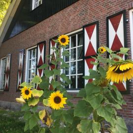 엔스헤데에 위치한 호텔 Erve Het Roolvink Boerderij Appartementen 40-50 M2