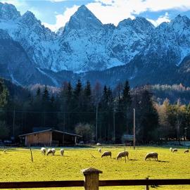 Mountain peaks Apartment with Sauna, hotel in Gozd Martuljek