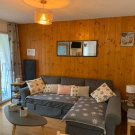 Appartement tt confort au cœur des montagnes avec vue sur les montagnes wifi, hotel in Luz-Saint-Sauveur