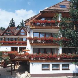 Hotel Sonnenhof, хотел в Бад Захса