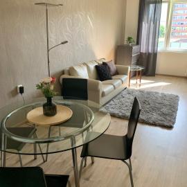 Apartman Skupovka