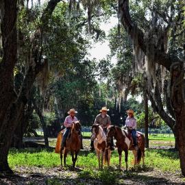Westgate River Ranch Resort & Rodeo, Hotel in River Ranch