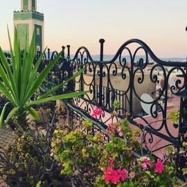 Riad Selma