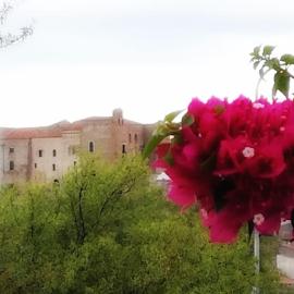 Ypsibloom, hotel a Castelbuono