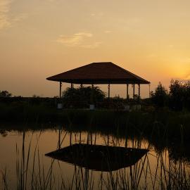 Blackbuck Safari Lodge Velavadar, Hotel in Velavadar