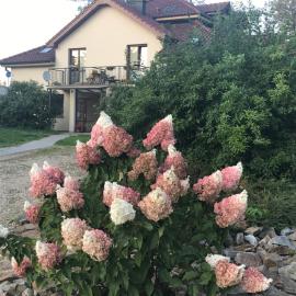 Apartman Harmonia Poděbrady 60m2 s klimatizací