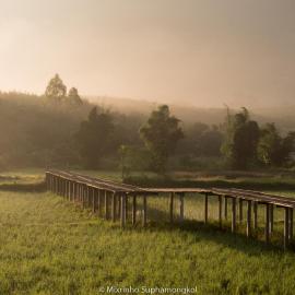 Loei में, होटल Phuruarounmai Organic Living Resort