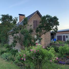 Zur alten Sommerküche, отель в городе Markische Heide