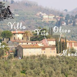 Fattoria di Fubbiano، فندق في كولودي