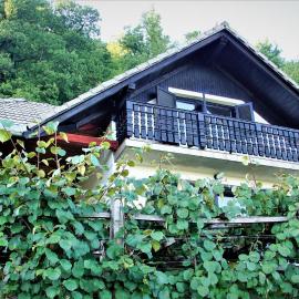 Vineyard Cottage Zajc – hotel w mieście Semič