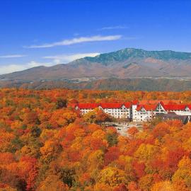 Hotel Green Plaza Karuizawa, hotel di Tsumagoi