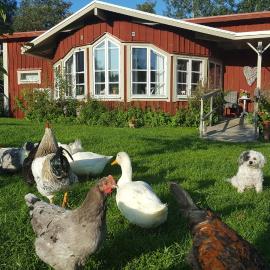 Spiragården, hotel di Glanshammar