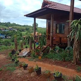 Happy bungalow & trekking
