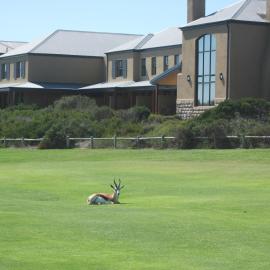 The Lodge at Atlantic Beach, hotel a Melkbosstrand