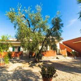 B&B Uliveto del Gargano
