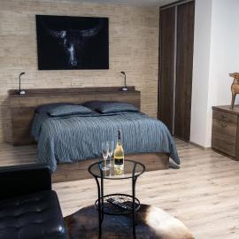 Ubytování Stračena, hotel v Ostravi
