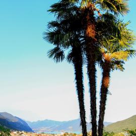 B&B La Fenice sul Lago, hotel di Villongo SantʼAlessandro