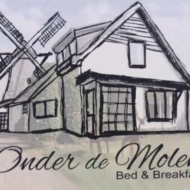 B&B Onder de Molen, hotel in Burgh Haamstede